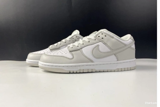 Dust" Nike Low DD1503-103 "Photon Dunk 1107